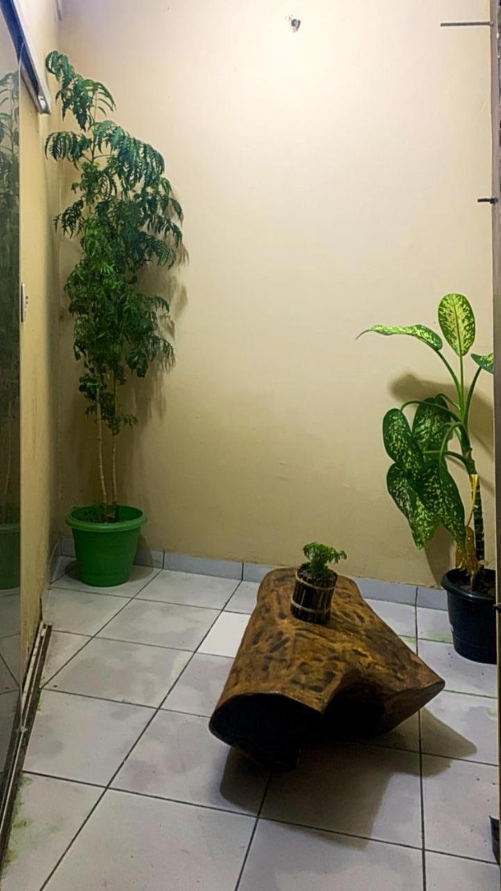 Pousada Shalom E Hostel Holly Land Santo Amaro do Maranhao Exteriör bild