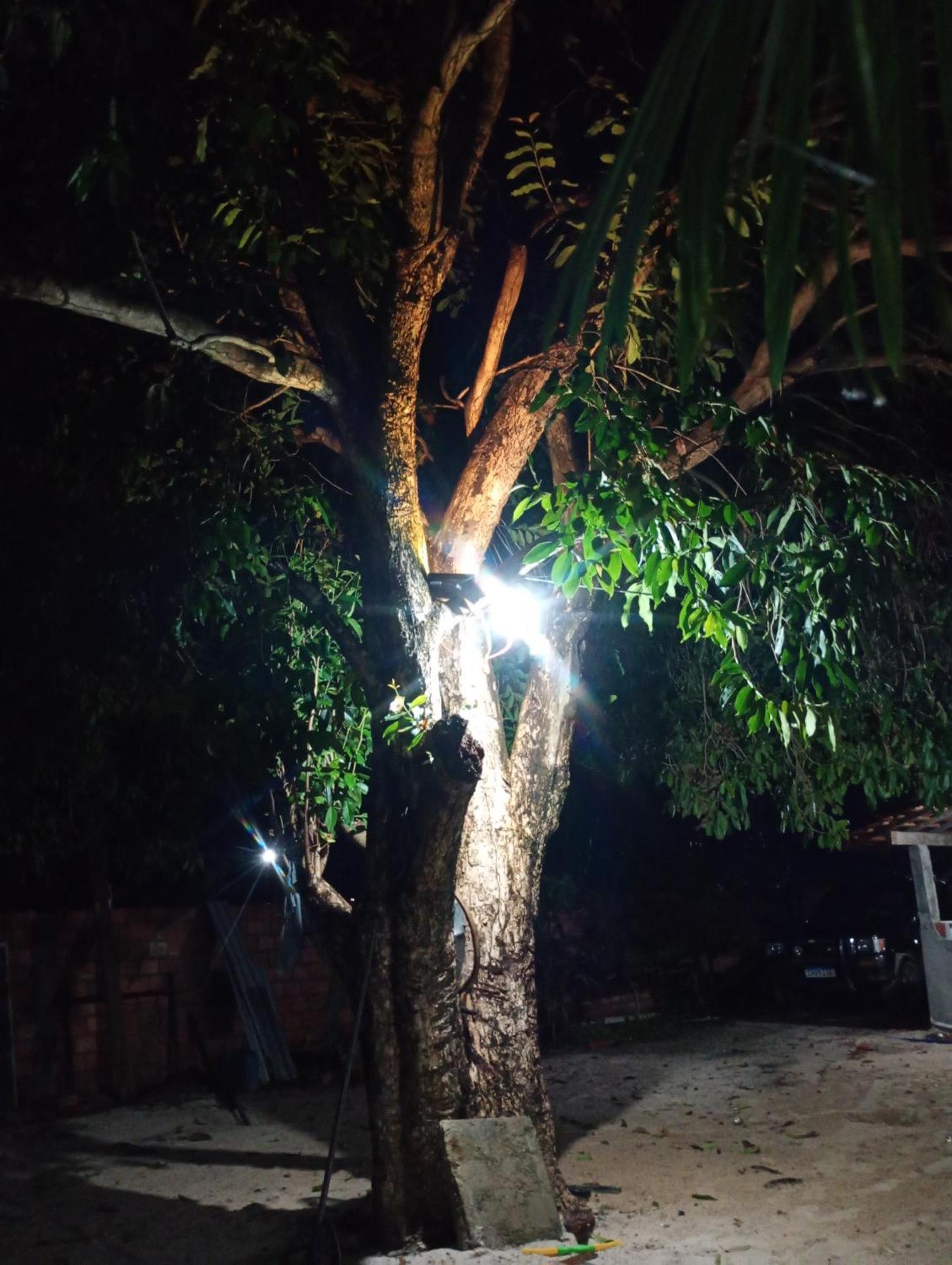 Pousada Shalom E Hostel Holly Land Santo Amaro do Maranhao Exteriör bild