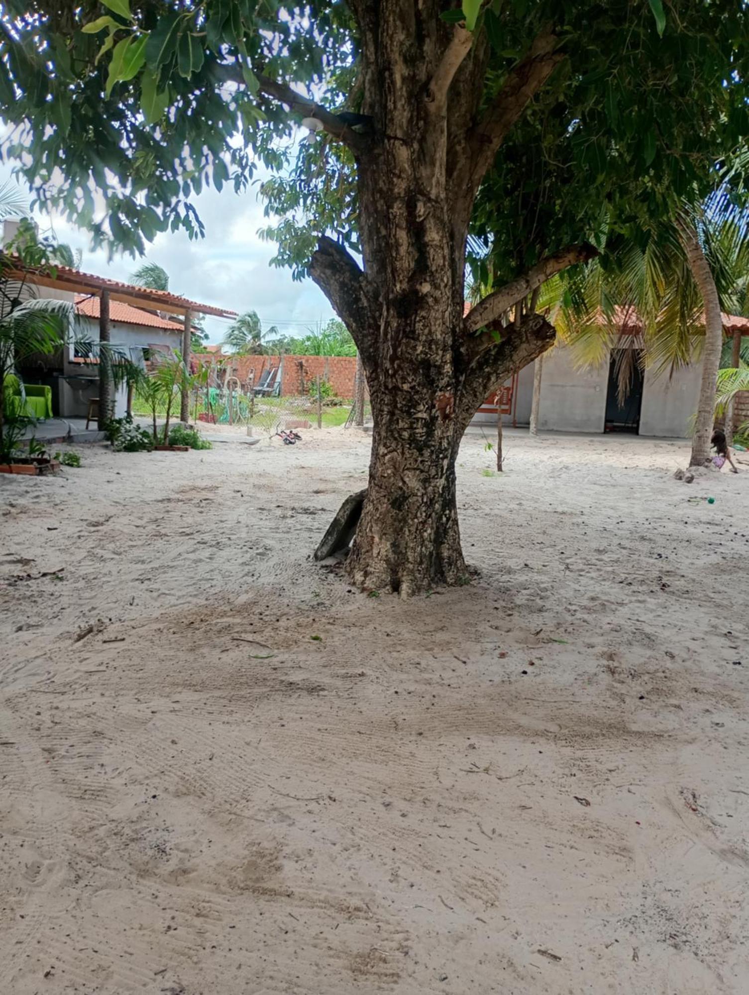 Pousada Shalom E Hostel Holly Land Santo Amaro do Maranhao Exteriör bild