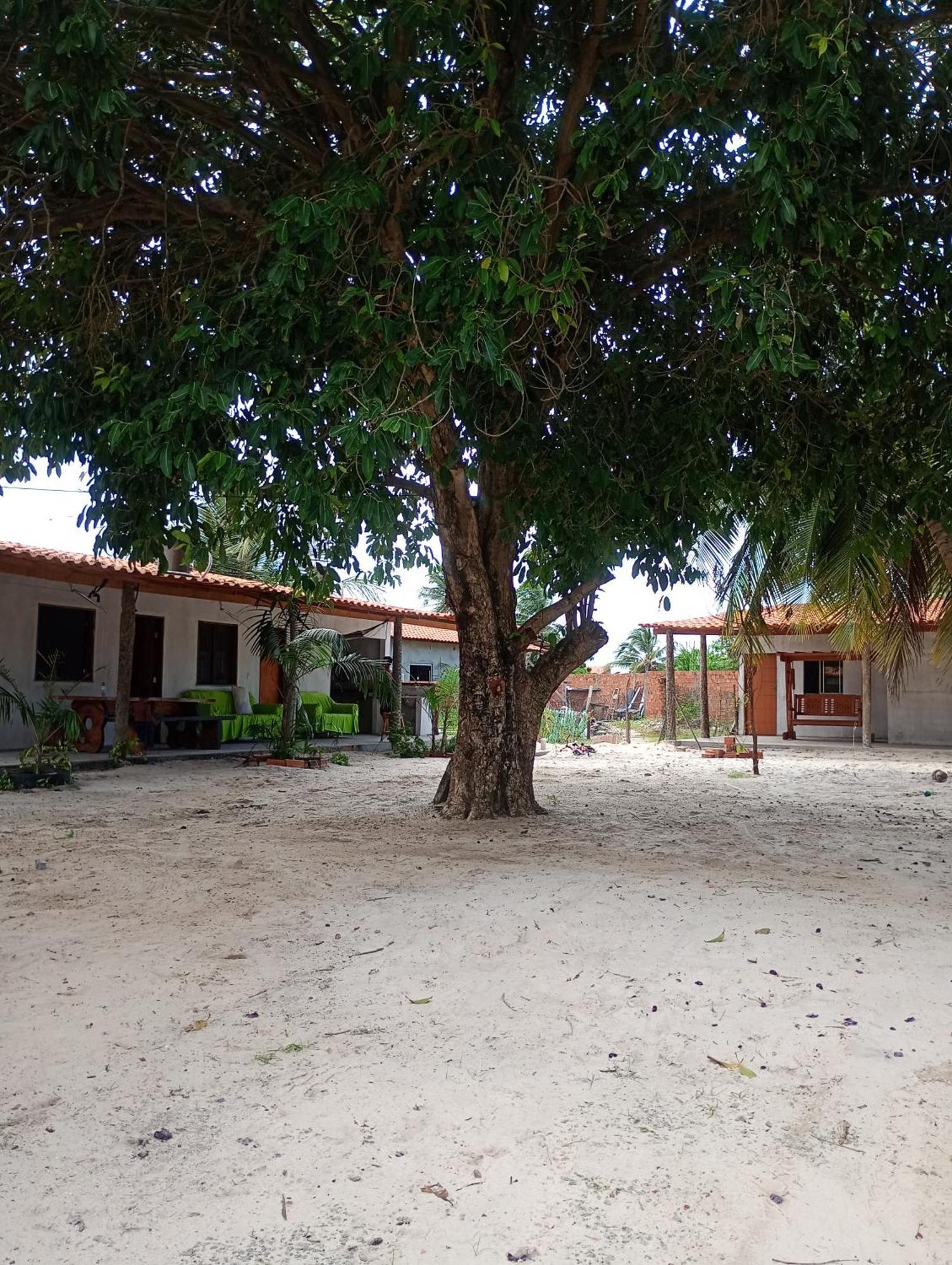 Pousada Shalom E Hostel Holly Land Santo Amaro do Maranhao Exteriör bild